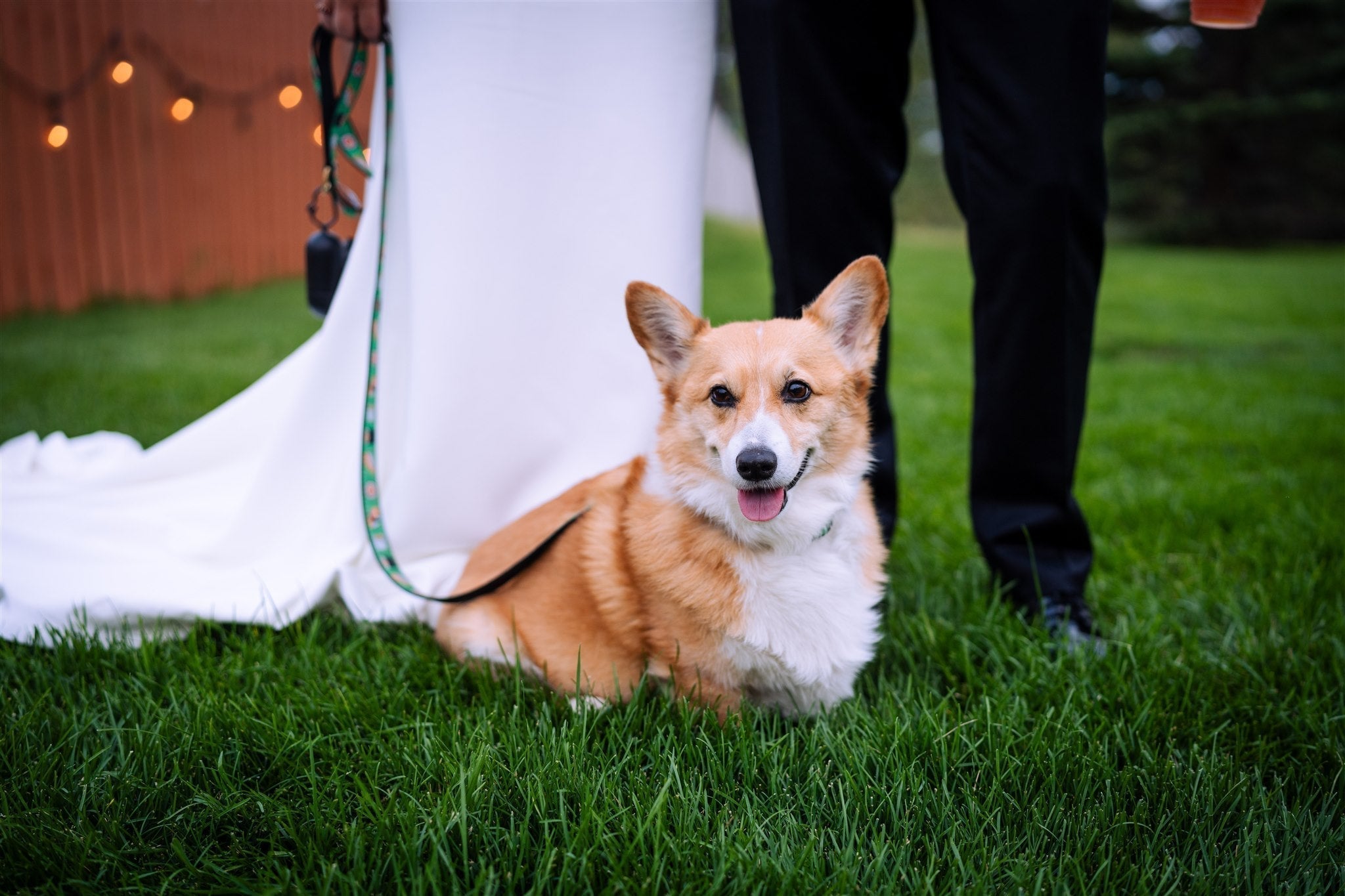 Creative Ways to Include Your Pet in Your Wedding Signage