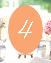 Palm Springs Wedding Table Numbers