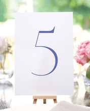 Boldly Bright Wedding Table Numbers