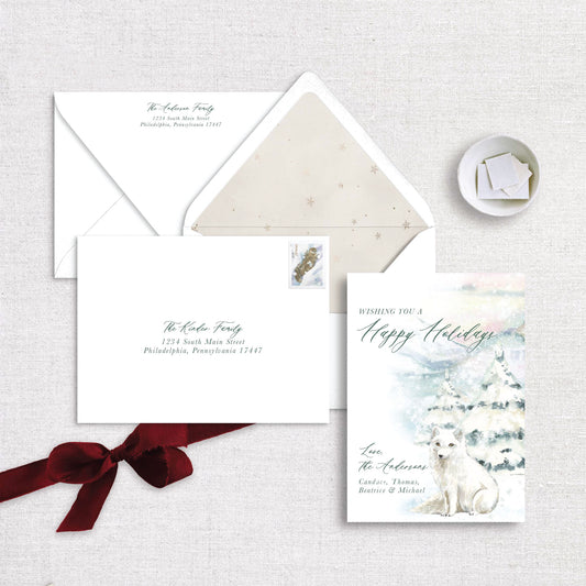 An Arctic Christmas Holiday Card Kit